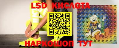 стафф Можга