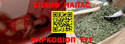 мяу мяу мука Бузулук