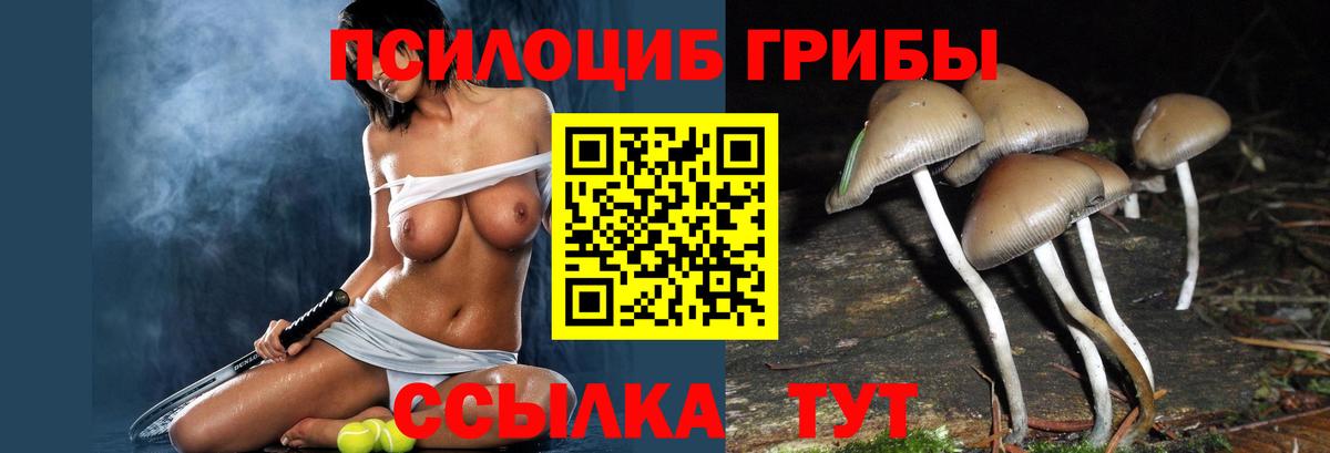 Галлюциногенные грибы прущие грибы Шелехов